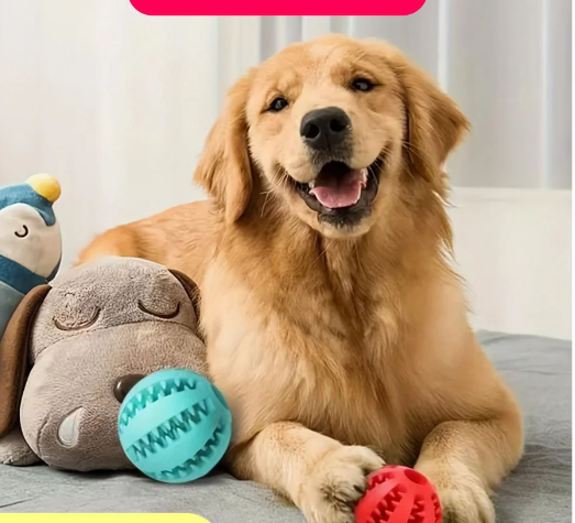 Interactive Dog Tug Treat Toy